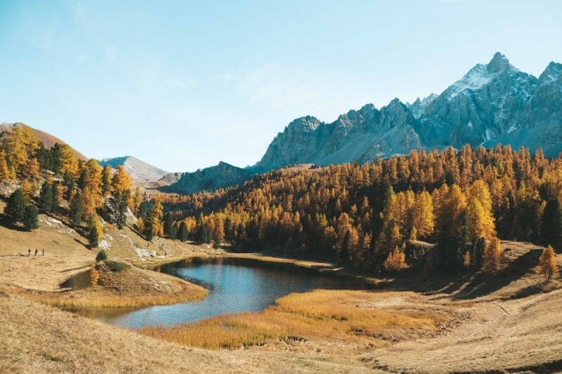 Un lac de montagne entouré d'une forêt