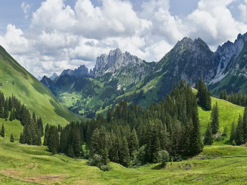 un paysage de montagnes en France au printemps