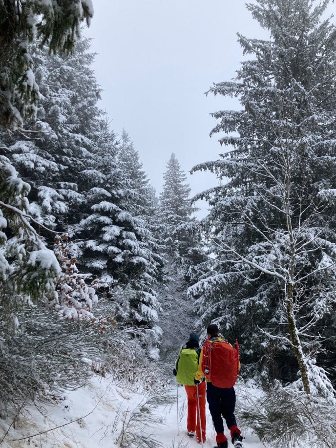 Rando en raquettes et truffade au cœur des volcans d'Auvergne – Image 30