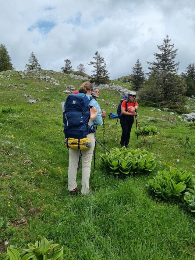 week end jura : 2 jours de rando et initation au bivouac