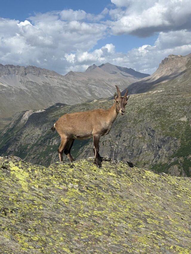 le tour des glaciers de la vanoise en 4 jours