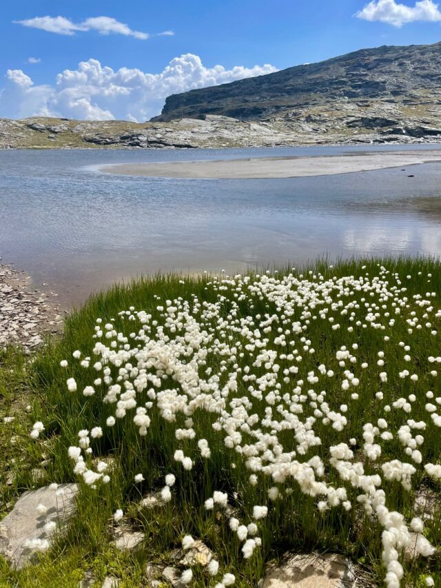 le tour des glaciers de la vanoise en 4 jours