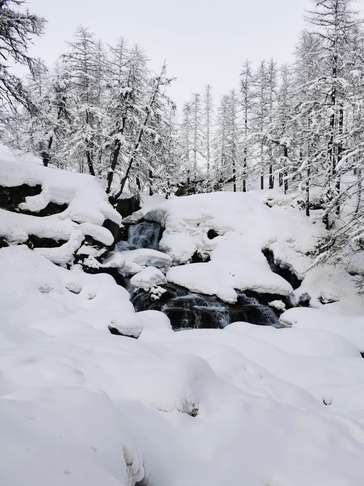 Week-end refuge et raquettes dans la Clarée – Image 21