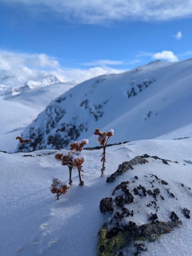 week end ski de randonnée dans les grandes rousses en savoie