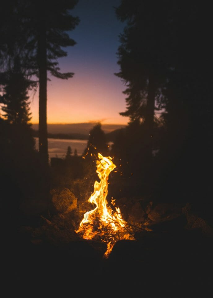 un feu de camp dans une forêt la nuit
