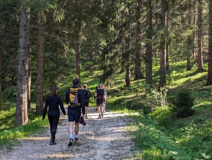 sur les traces du loup : 3 jours de randonnée dans le vercors