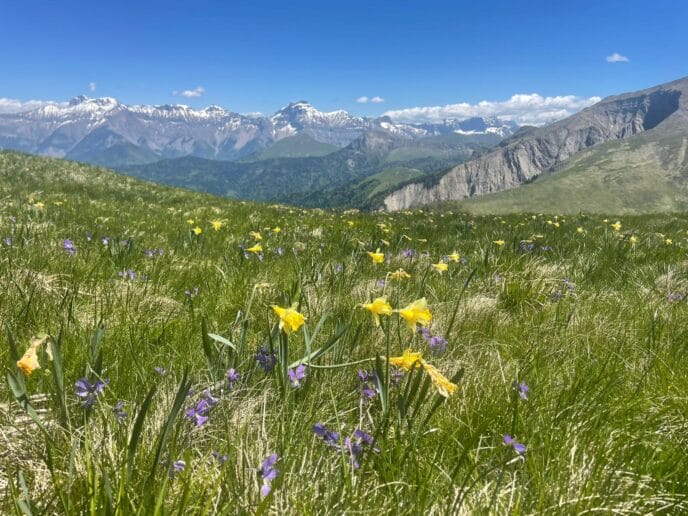 sur les traces du loup : 3 jours de randonnée dans le vercors