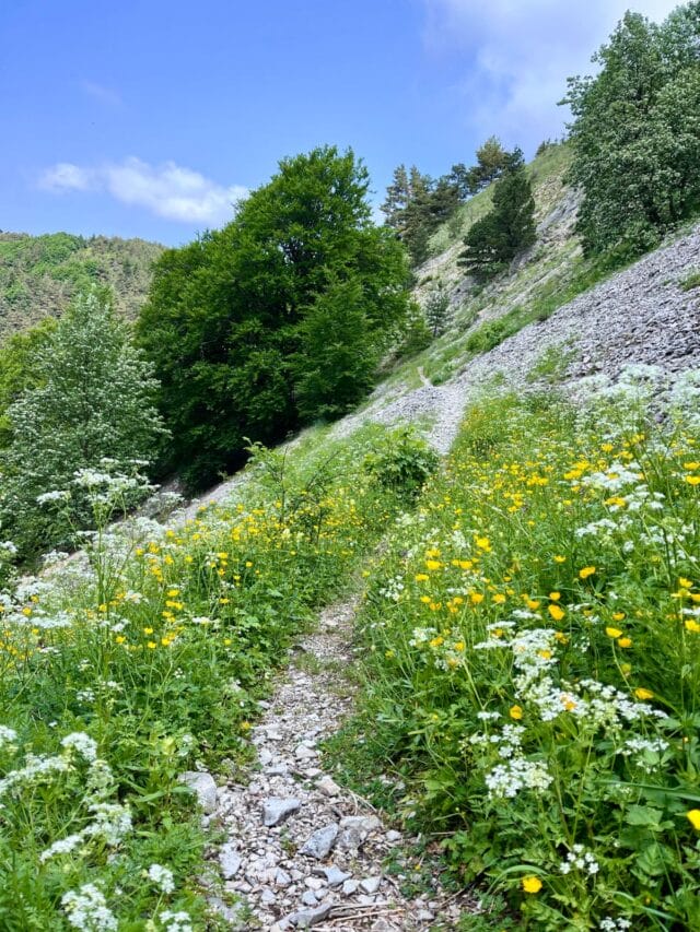 sur les traces du loup : 3 jours de randonnée dans le vercors