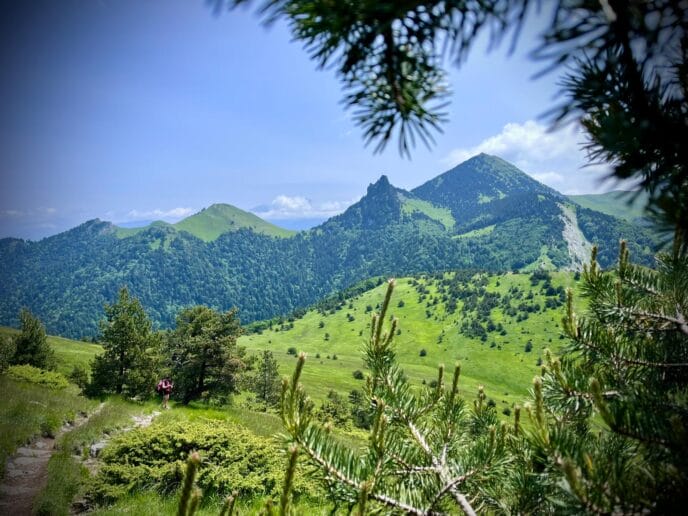 sur les traces du loup : 3 jours de randonnée dans le vercors