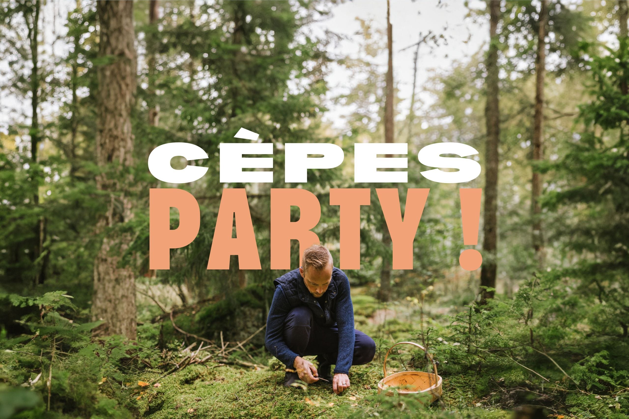 CEPES PARTY : Week-end Morvan : reconnaître et cueillir les champignons