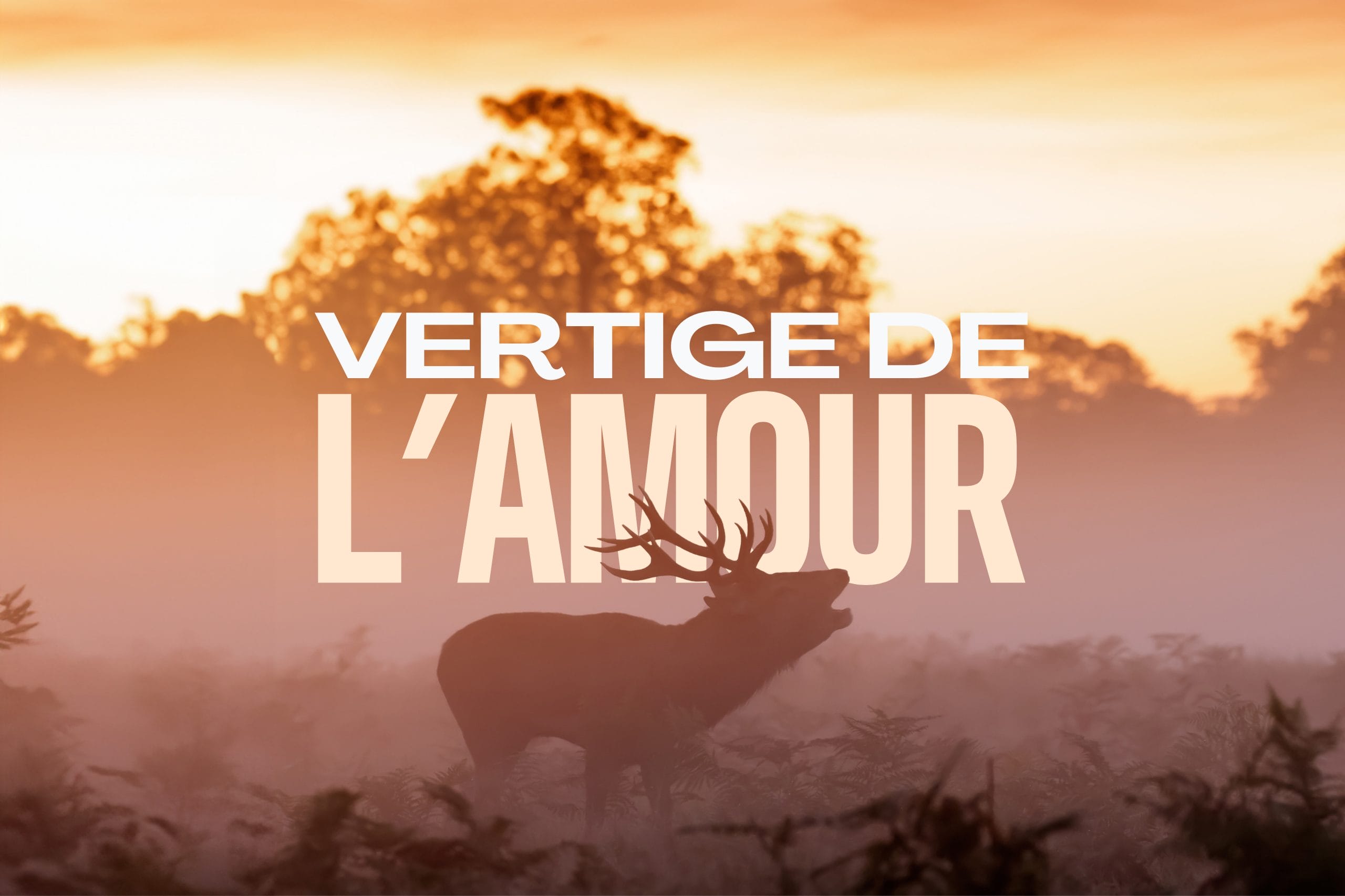 VERTIGE DE L'AMOUR : Brame du cerf : randonnée et bivouac en yourte dans le Jura