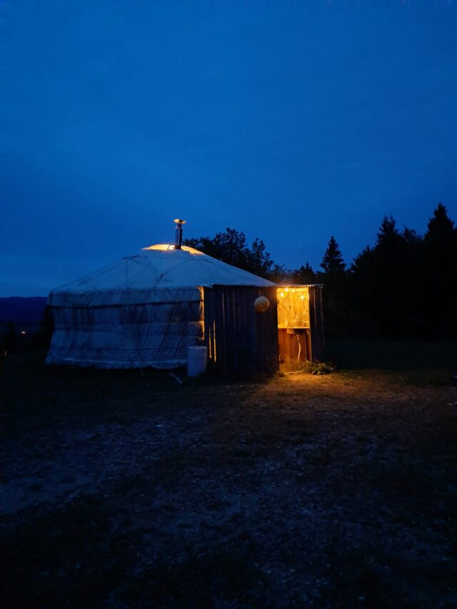 brame du cerf : randonnée et bivouac en yourte dans le jura