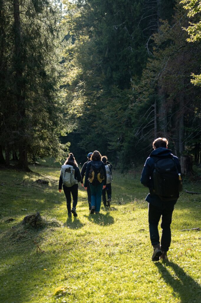 brame du cerf : randonnée et bivouac en yourte dans le jura