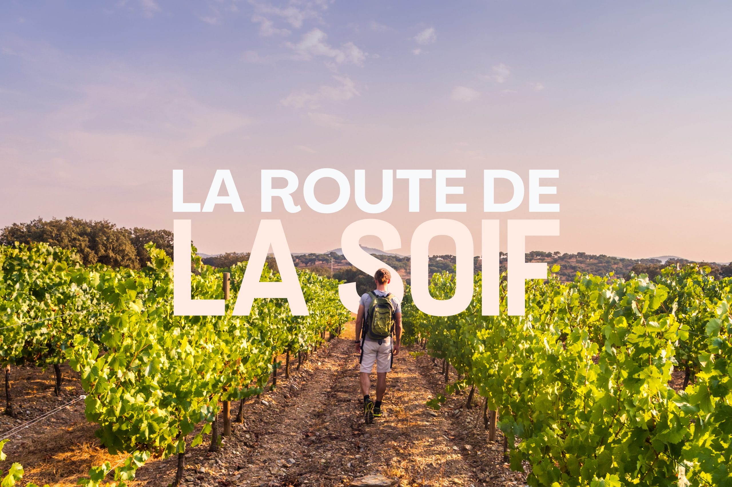 La route de la soif : Beaune : randonnée et dégustation dans les vignes de Bourgogne