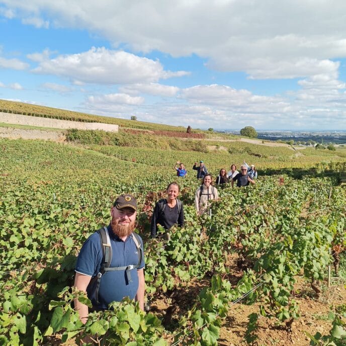 beaune : randonnée et dégustation dans les vignes de bourgogne