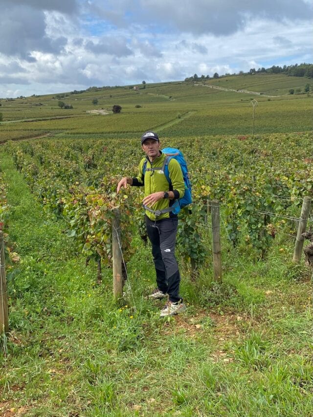 beaune : randonnée et dégustation dans les vignes de bourgogne