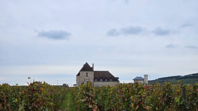 beaune : randonnée et dégustation dans les vignes de bourgogne