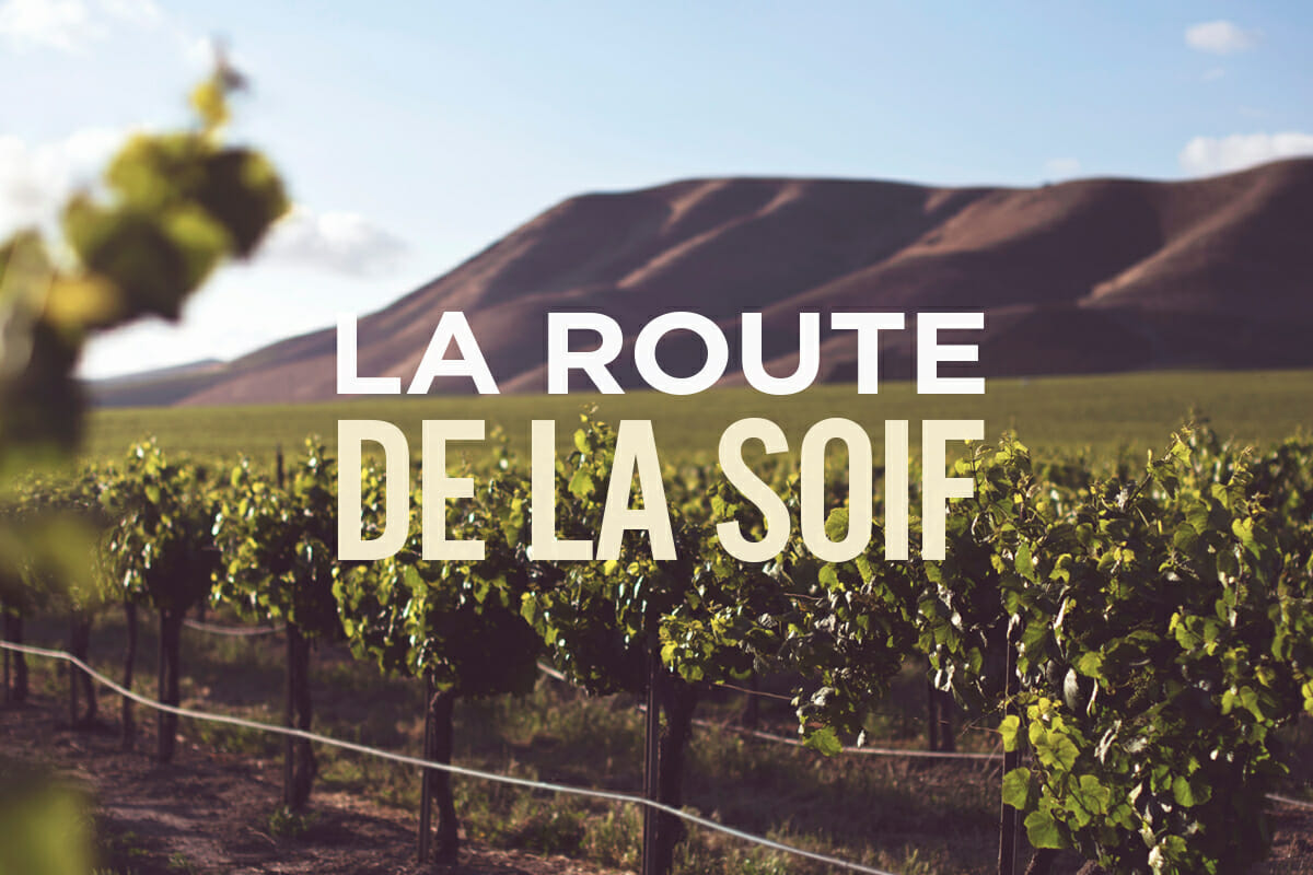 La route de la soif : Beaune : randonnée et dégustation dans les vignes de Bourgogne