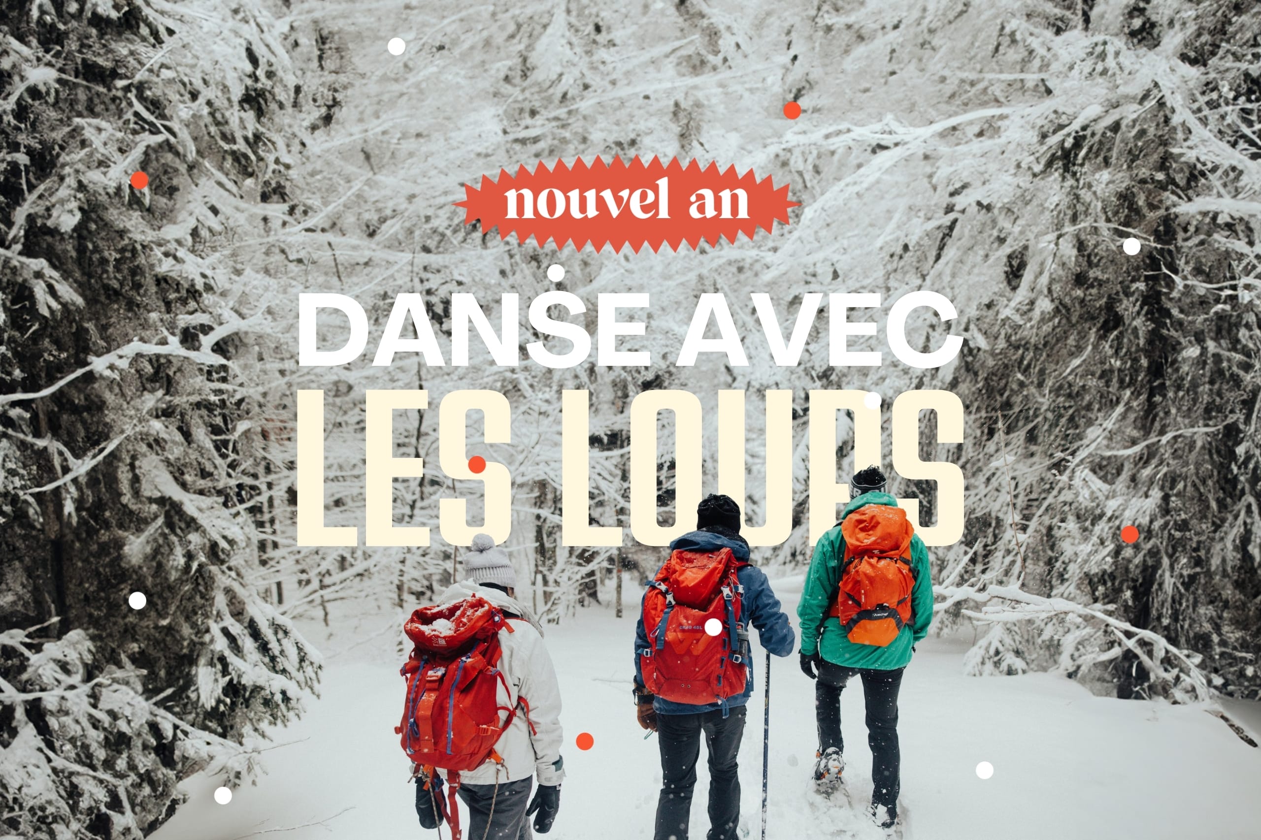 Danse avec les loups  : Nouvel An sur les traces du loup en raquettes dans le Vercors