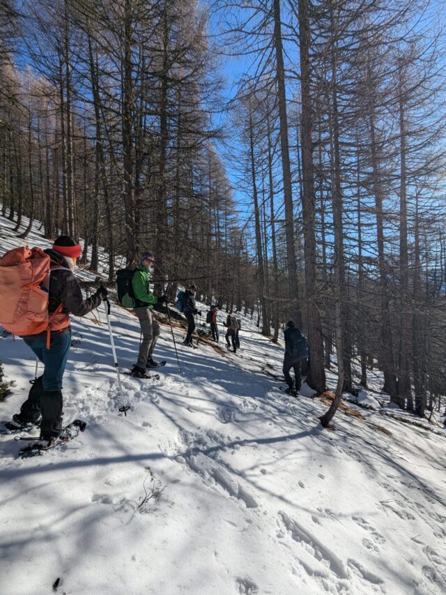 nouvel an queyras : 5 jours en raquettes à neige et chalet d'alpage