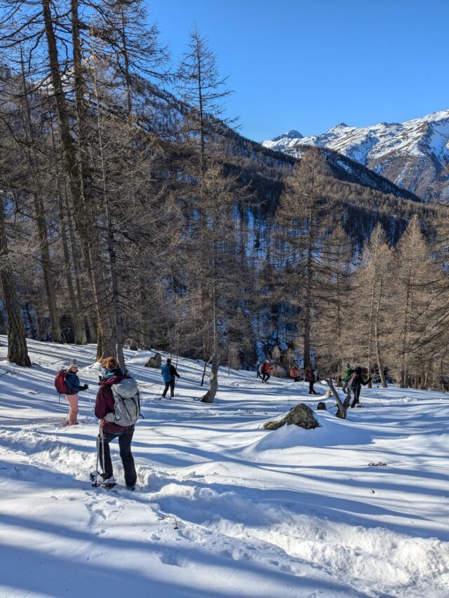nouvel an queyras : 5 jours en raquettes à neige et chalet d'alpage