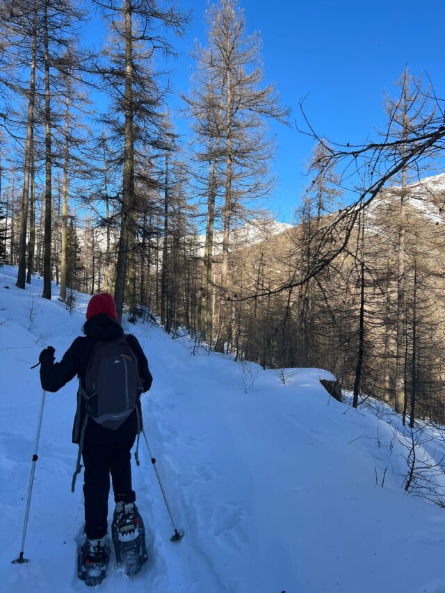 nouvel an queyras : 5 jours en raquettes à neige et chalet d'alpage