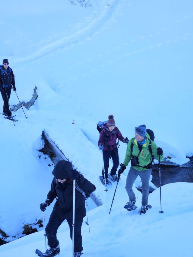 nouvel an queyras : 5 jours en raquettes à neige et chalet d'alpage