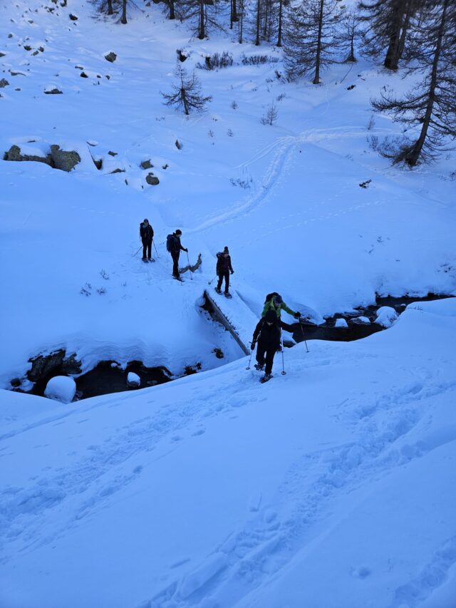 nouvel an queyras : 5 jours en raquettes à neige et chalet d'alpage