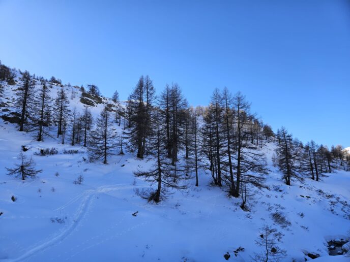 nouvel an queyras : 5 jours en raquettes à neige et chalet d'alpage