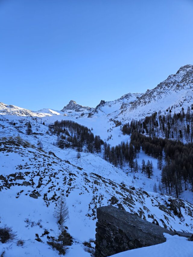 nouvel an queyras : 5 jours en raquettes à neige et chalet d'alpage