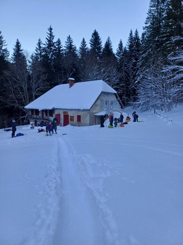 nouvel an sur les traces du loup en raquettes dans le vercors