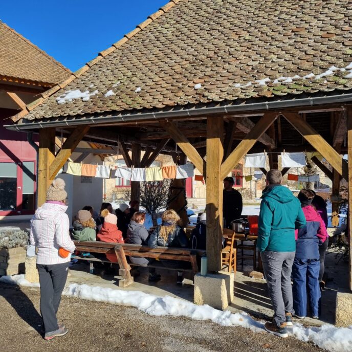 nouvel an sur les traces du loup en raquettes dans le vercors