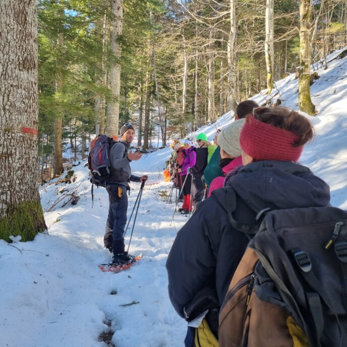 nouvel an sur les traces du loup en raquettes dans le vercors
