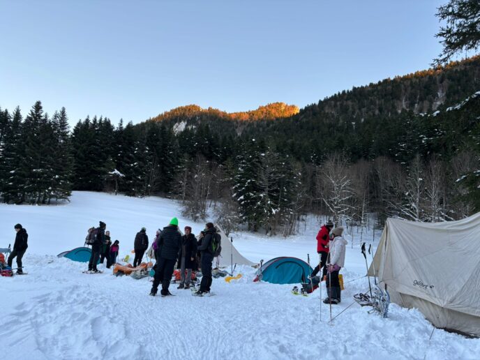 nouvel an sur les traces du loup en raquettes dans le vercors