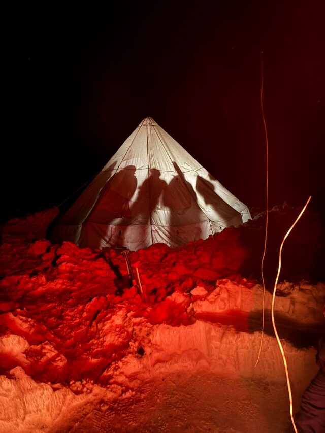nouvel an sur les traces du loup en raquettes dans le vercors