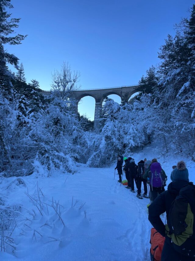 nouvel an sur les traces du loup en raquettes dans le vercors
