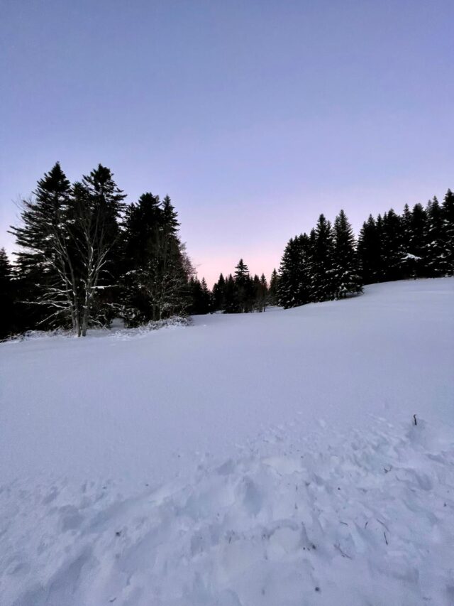 nouvel an sur les traces du loup en raquettes dans le vercors