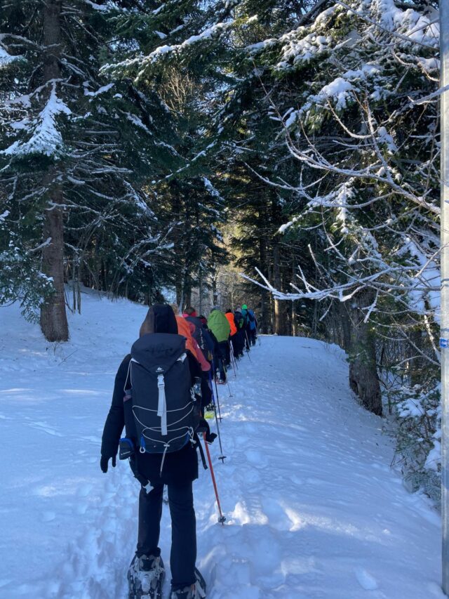 nouvel an sur les traces du loup en raquettes dans le vercors