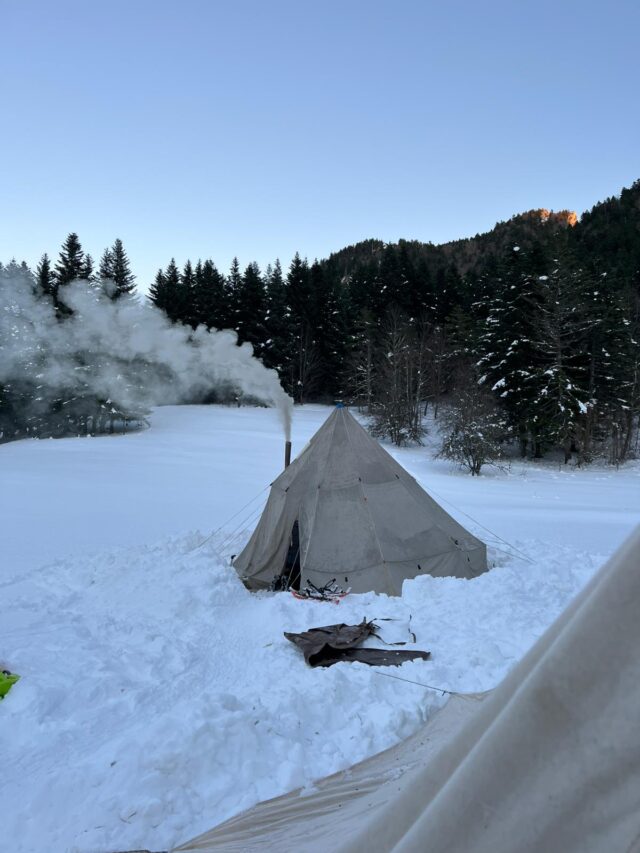 nouvel an sur les traces du loup en raquettes dans le vercors
