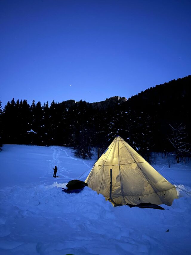 nouvel an sur les traces du loup en raquettes dans le vercors