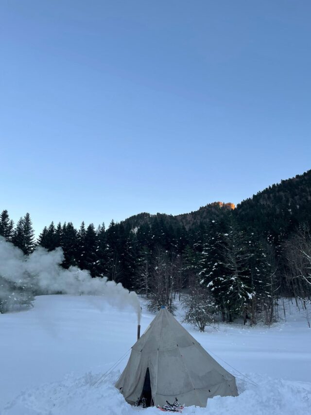 nouvel an sur les traces du loup en raquettes dans le vercors