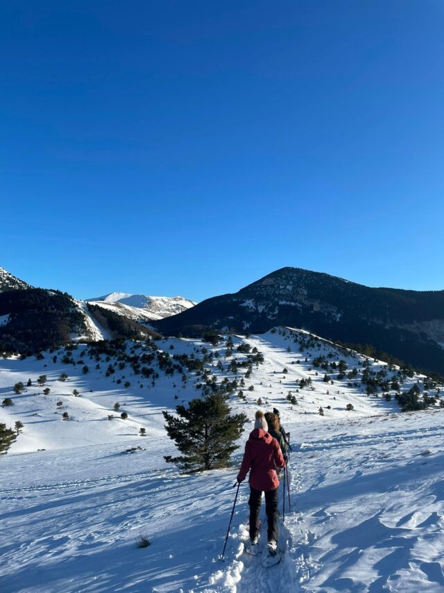 nouvel an sur les traces du loup en raquettes dans le vercors