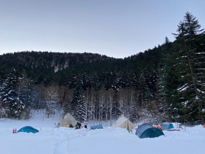 nouvel an sur les traces du loup en raquettes dans le vercors