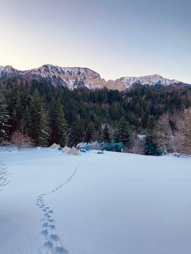 nouvel an sur les traces du loup en raquettes dans le vercors