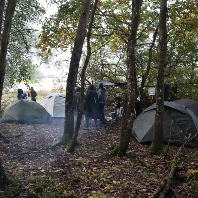 brame du cerf : week end affût et bivouac près de paris