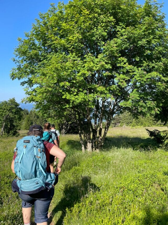 le hohneck : rando, bonne bouffe et refuge dans les vosges