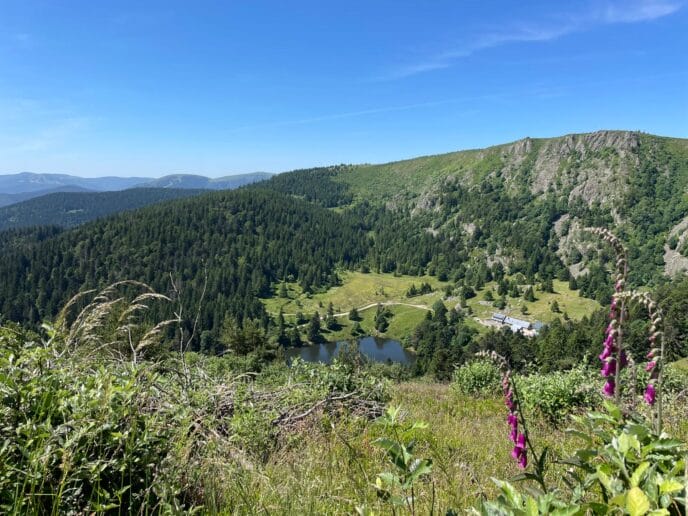 le hohneck : rando, bonne bouffe et refuge dans les vosges