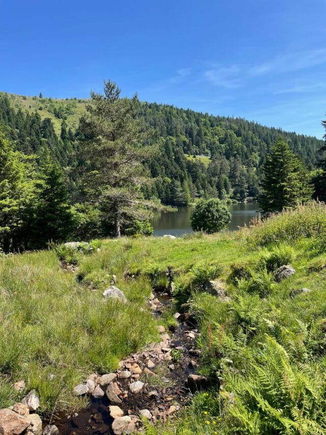 le hohneck : rando, bonne bouffe et refuge dans les vosges