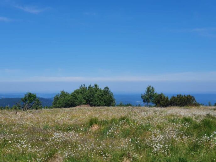le hohneck : rando, bonne bouffe et refuge dans les vosges