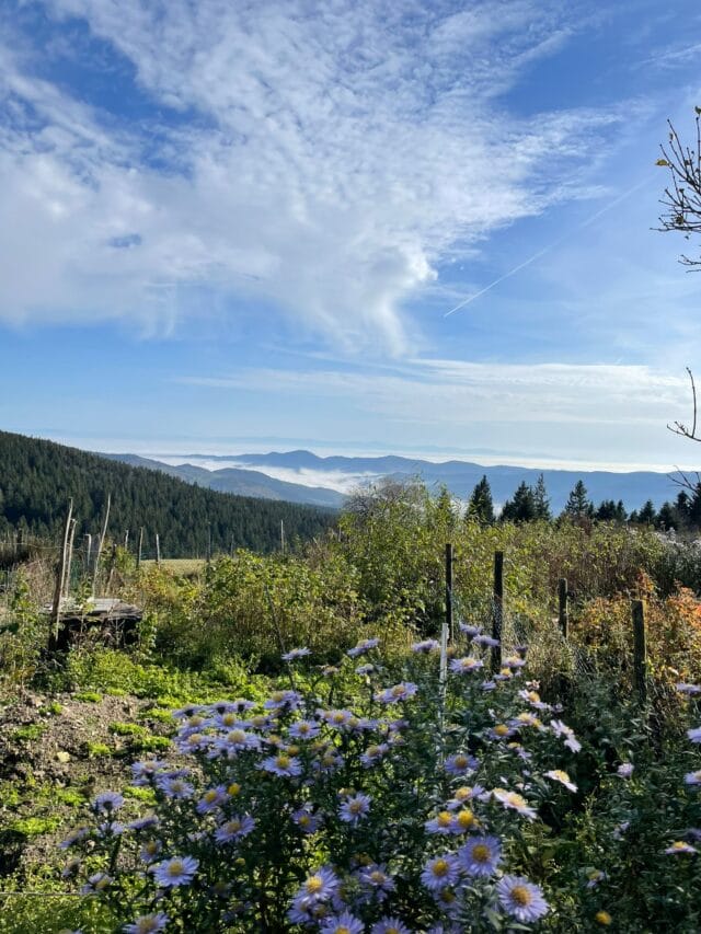le hohneck : rando, bonne bouffe et refuge dans les vosges